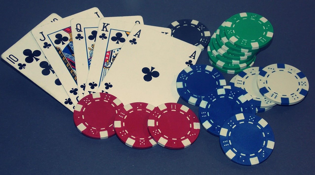 bingoplus