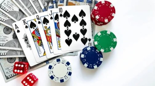 bingoplus